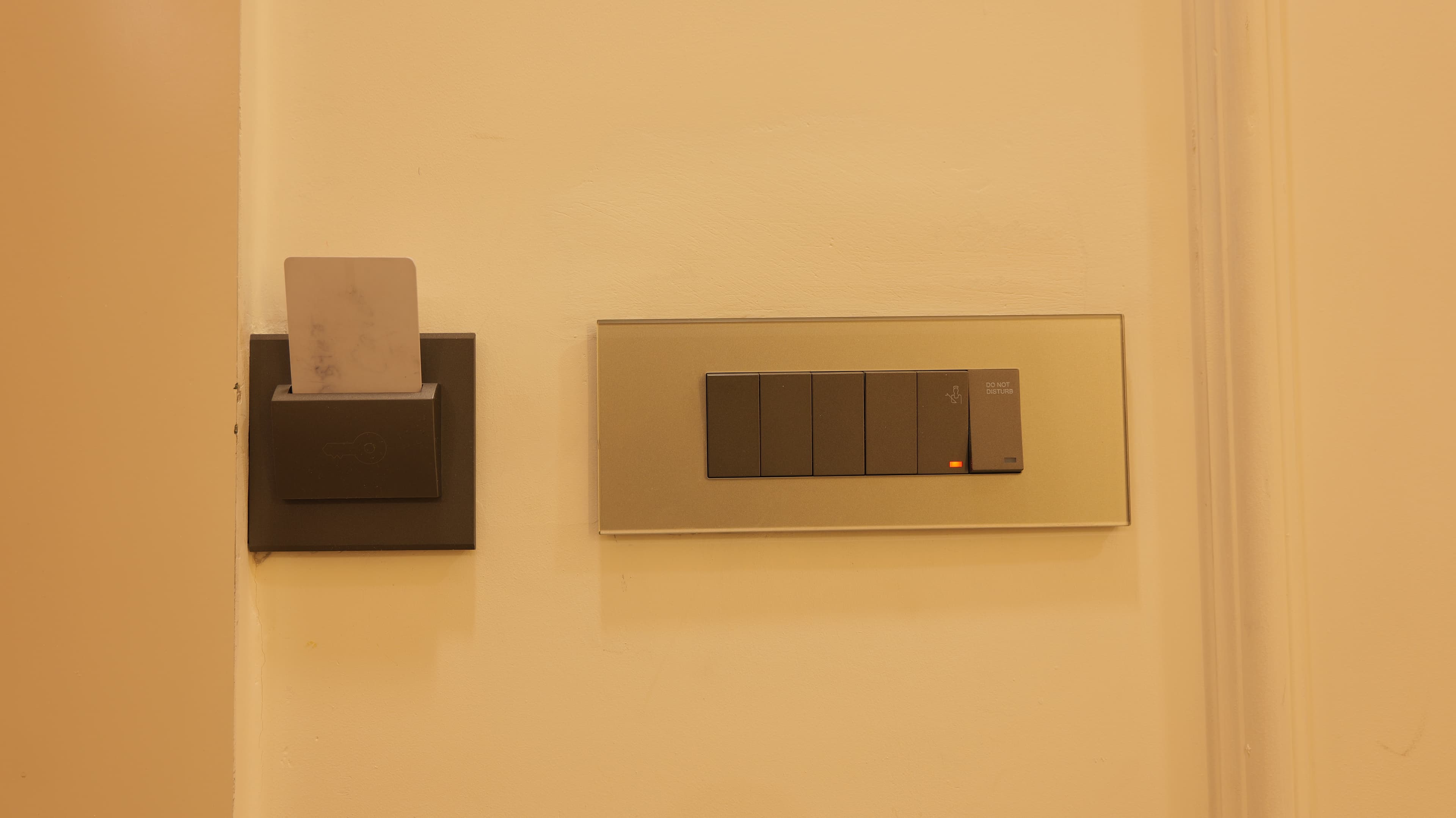Premium image 13